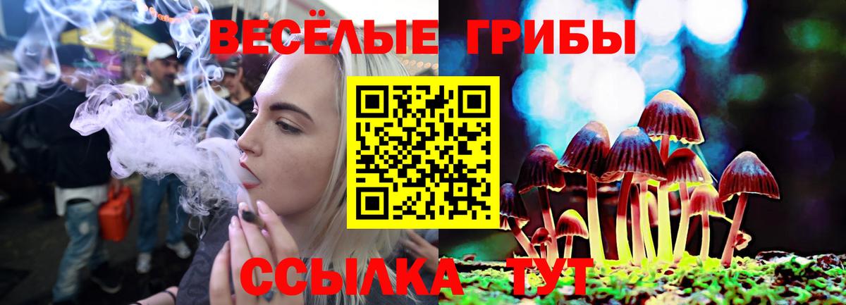 Псилоцибиновые грибы Psilocybine cubensis Саянск